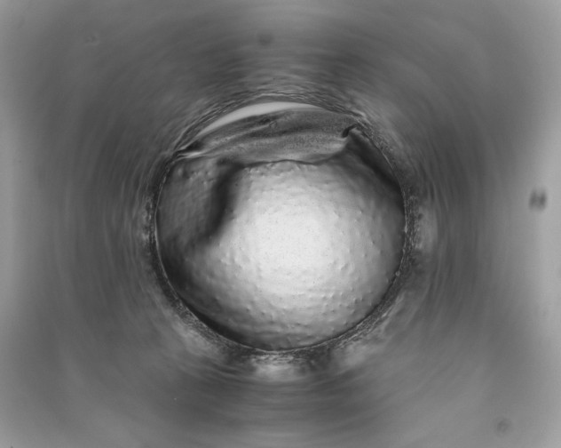 X0000090860273200708101226