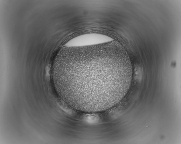 X0000090860275200708101226