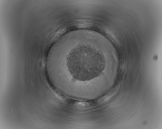 X0000090860277200708101226