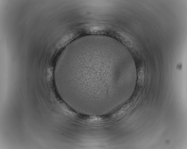 X0000090860278200708101226