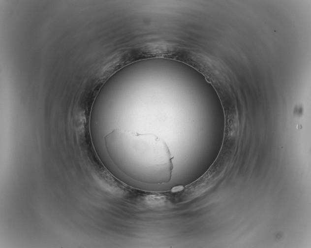 X0000090860279200708101226