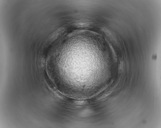 X0000090860281200708101226