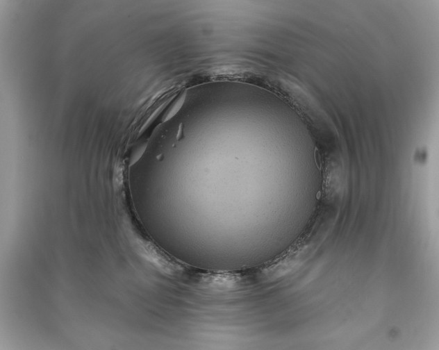 X0000090860282200708101226