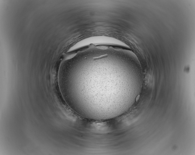 X0000090860283200708101226