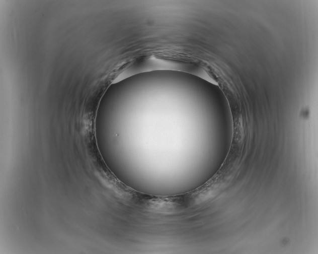 X0000090860284200708101226