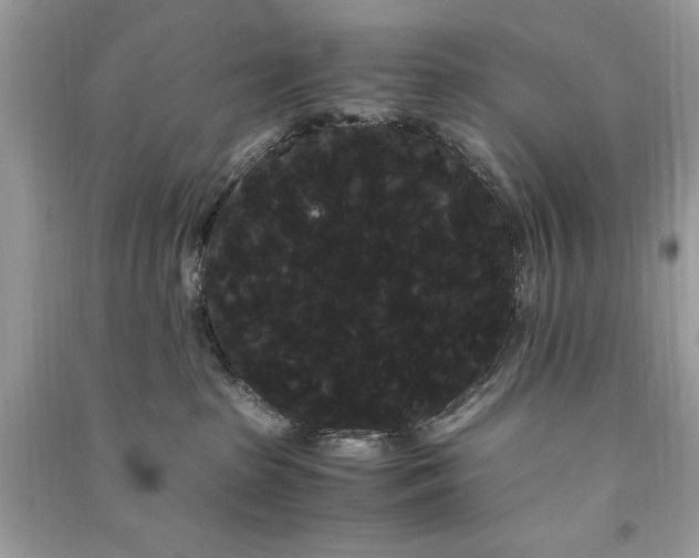 X0000090860285200708101226