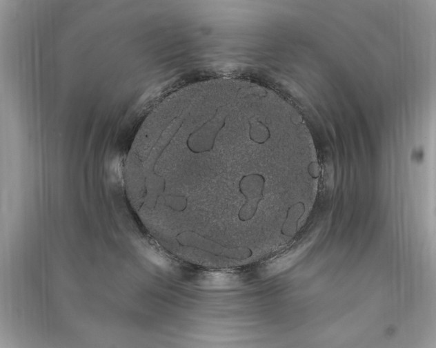 X0000090860286200708101226