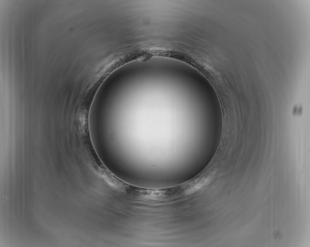 X0000090860288200708101226