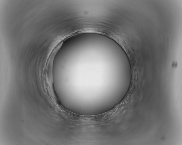 X0000090860289200708101225