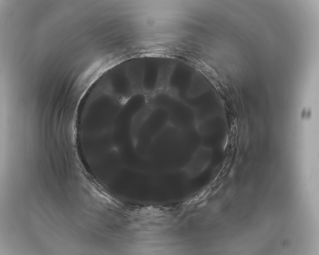 X0000090860290200708101225