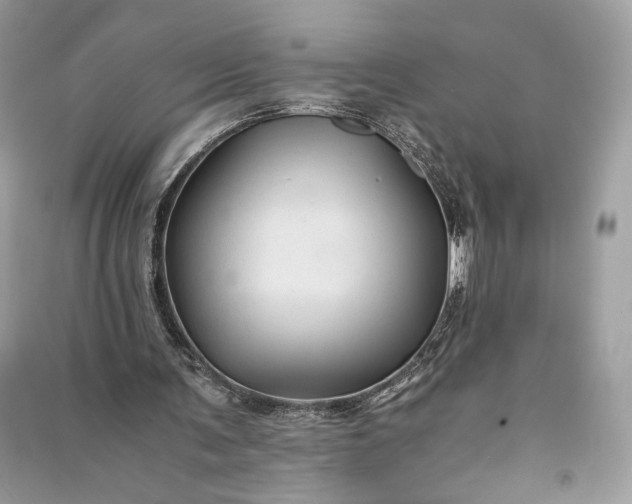 X0000090860291200708101225