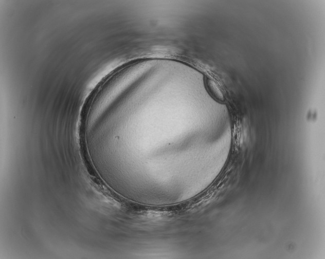 X0000090860292200708101225