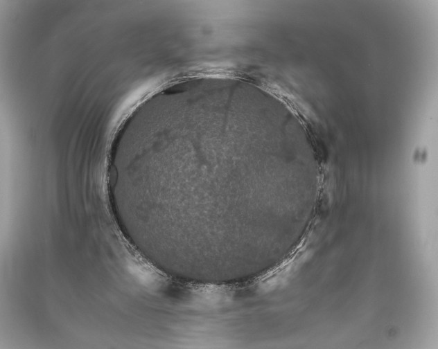 X0000090860293200708101225