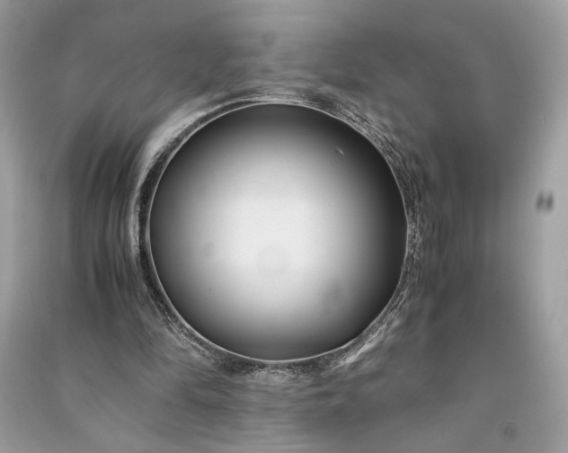 X0000090860294200708101225