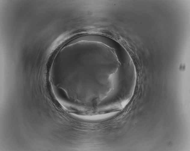 X0000090860295200708101225