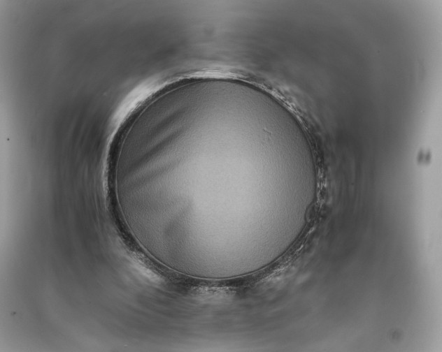 X0000090860296200708101225