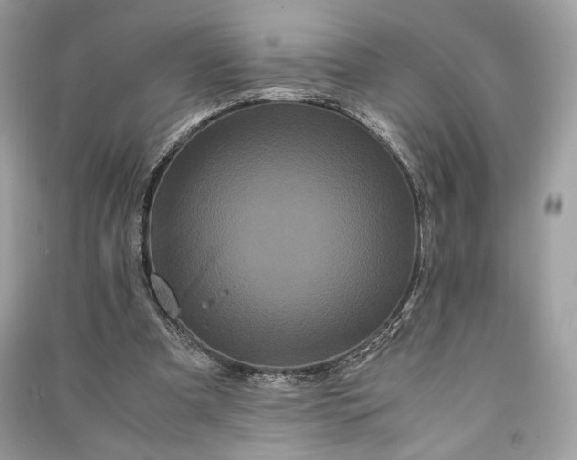 X0000090860297200708101225