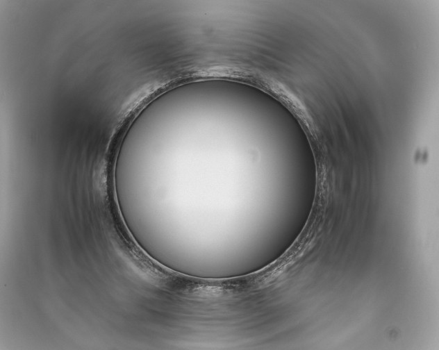 X0000090860298200708101225