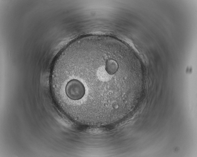 X0000090860299200708101225