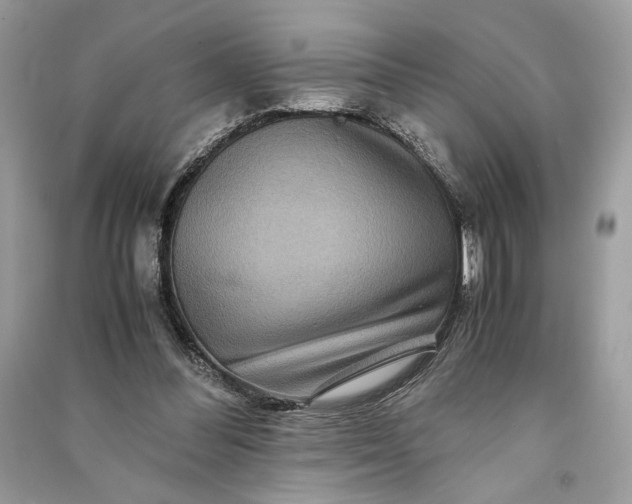 X0000090860300200708101225