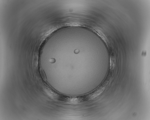 X0000090860301200708101225