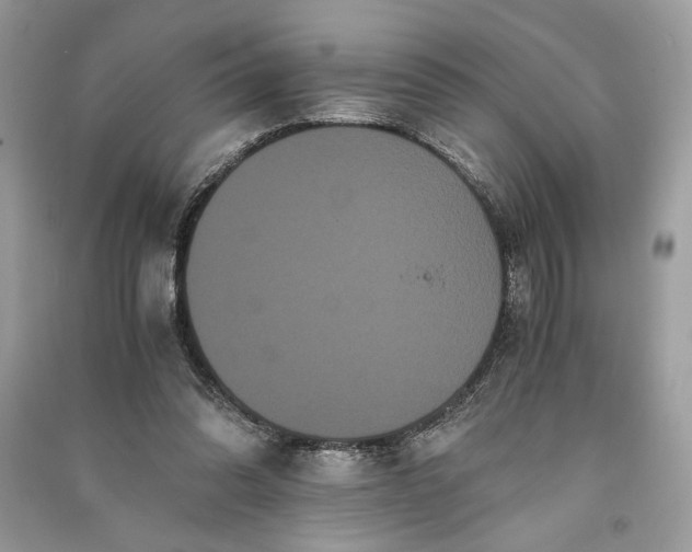 X0000090860302200708101225