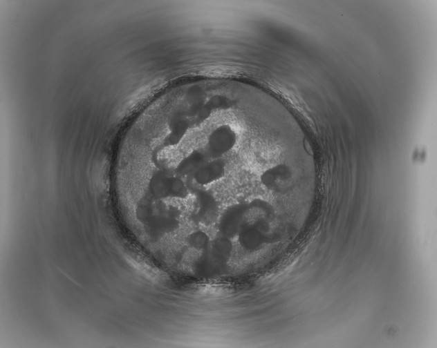 X0000090860303200708101225