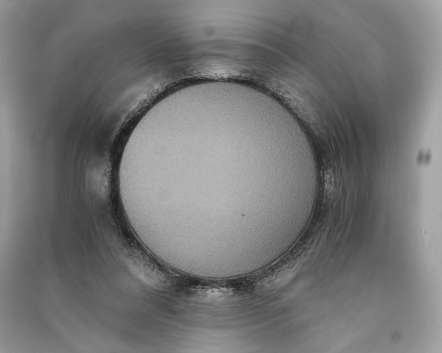 X0000090860304200708101225