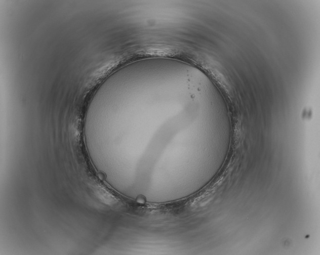 X0000090860305200708101225