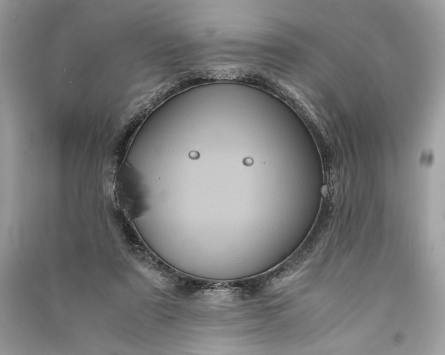 X0000090860307200708101225