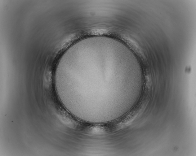 X0000090860308200708101225