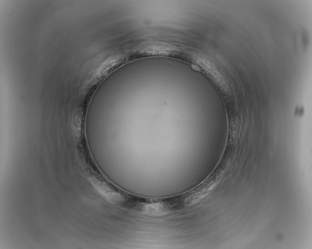 X0000090860309200708101225