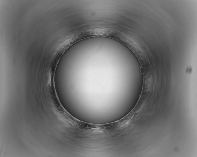 X0000090860310200708101225