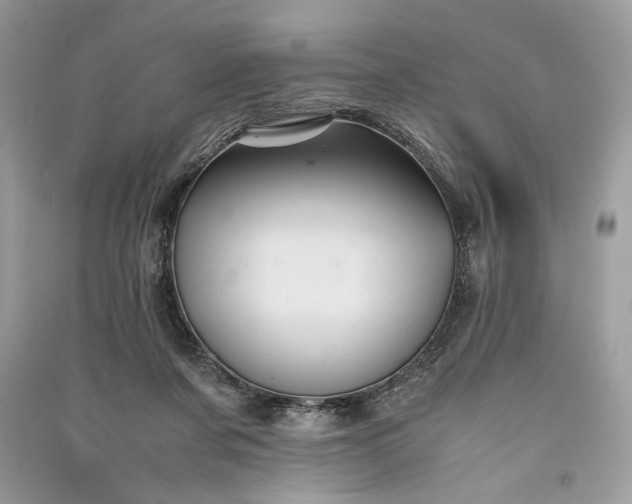 X0000090860311200708101225