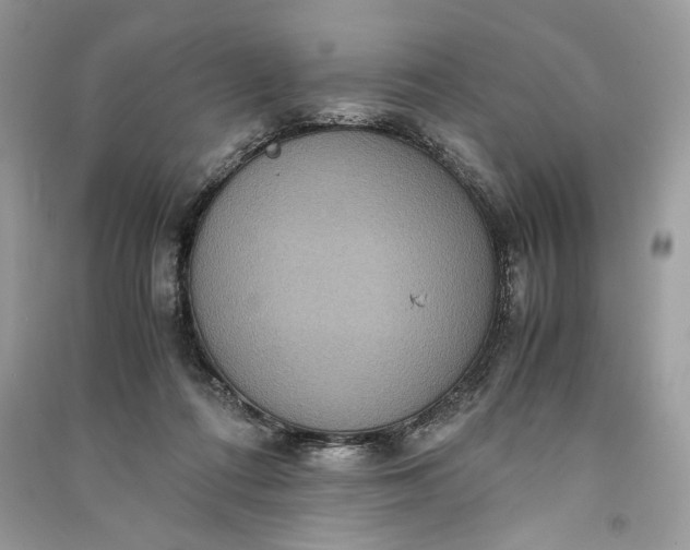 X0000090860312200708101225