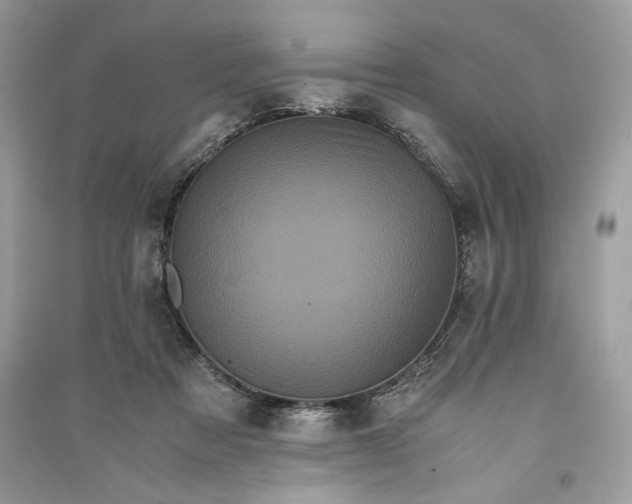 X0000090860313200708101225