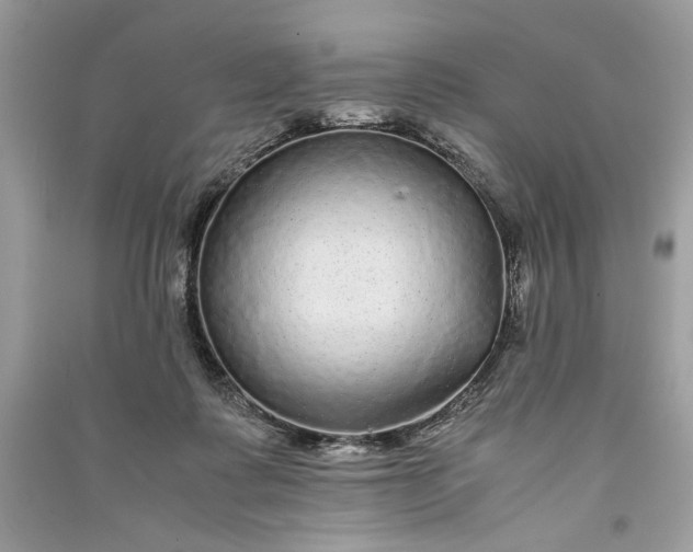 X0000090860315200708101225