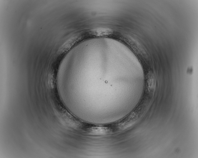 X0000090860316200708101225