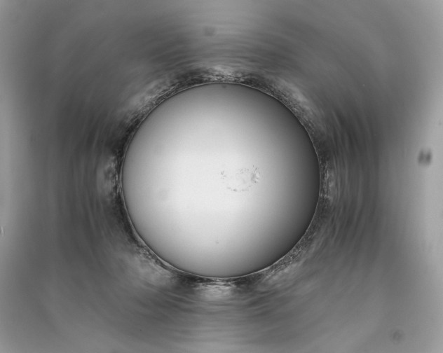 X0000090860318200708101225