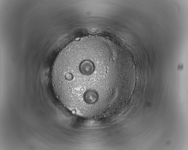 X0000090860319200708101225