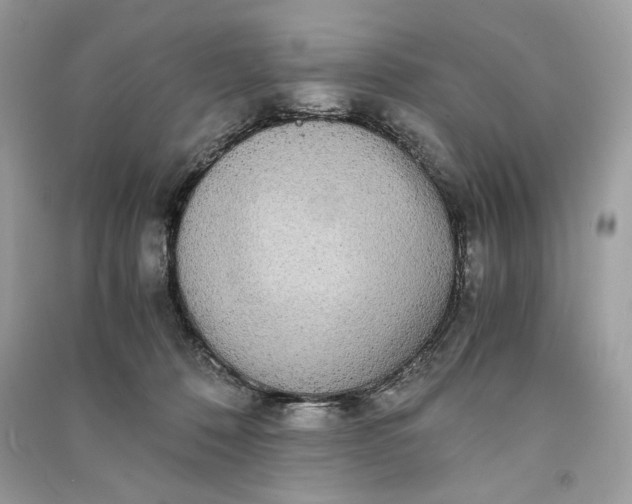 X0000090860320200708101225