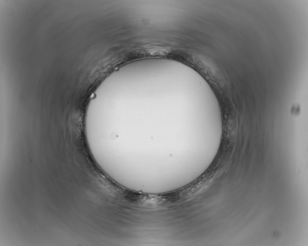 X0000090860321200708101225