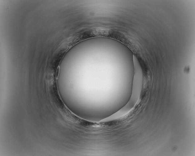 X0000090860323200708101225