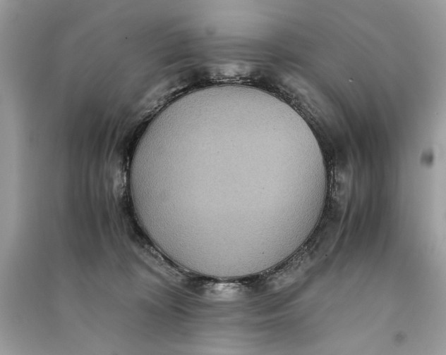 X0000090860324200708101225