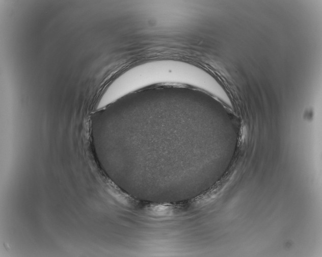 X0000090860325200708101225