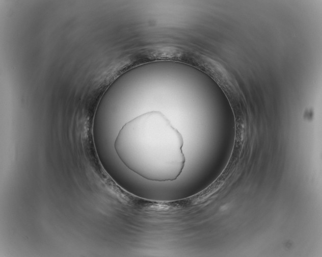 X0000090860326200708101225