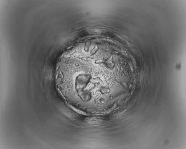 X0000090860331200708101225