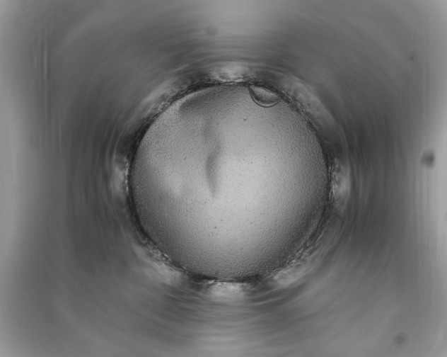 X0000090860332200708101225