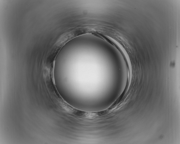 X0000090860333200708101225