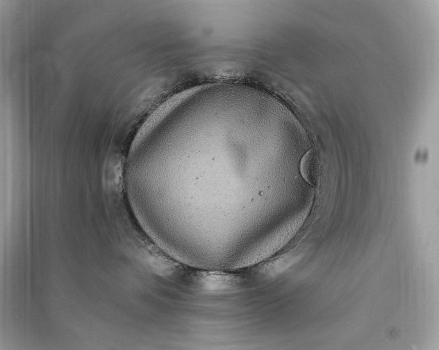 X0000090860336200708101224